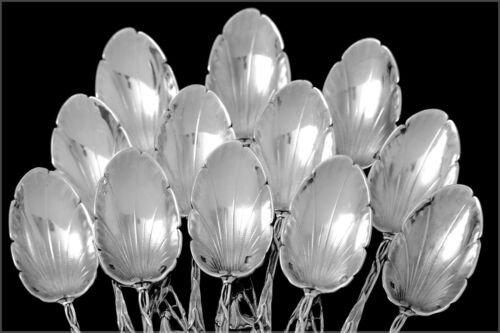 Canaux Masterpiece French Sterling Silver Tea Coffee Spoons Set 12 pc