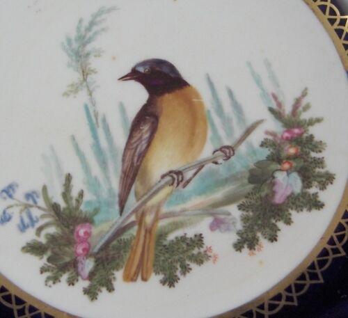 Antique 19thC English Spode Porcelain Bird Scene Cup & Saucer Scenic Porzellan