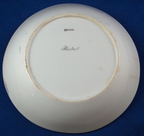 Antique 19thC English Spode Porcelain Bird Scene Cup & Saucer Scenic Porzellan