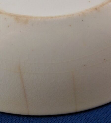 Antique 19thC English Spode Porcelain Bird Scene Cup & Saucer Scenic Porzellan