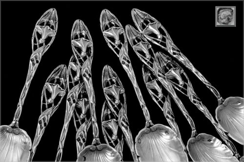Canaux Masterpiece French Sterling Silver Tea Coffee Spoons Set 12 pc