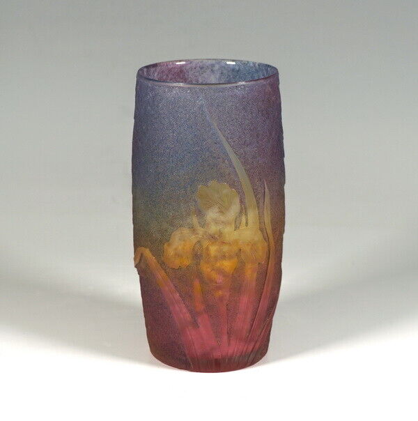 ドーム兄弟（ドームナンシー）アイリスの花の虹色のタンブラー