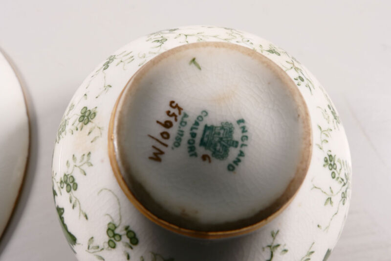 コールポート イギリス カップソーサー グリーン ワインリーブス ゴールド 1900年頃
